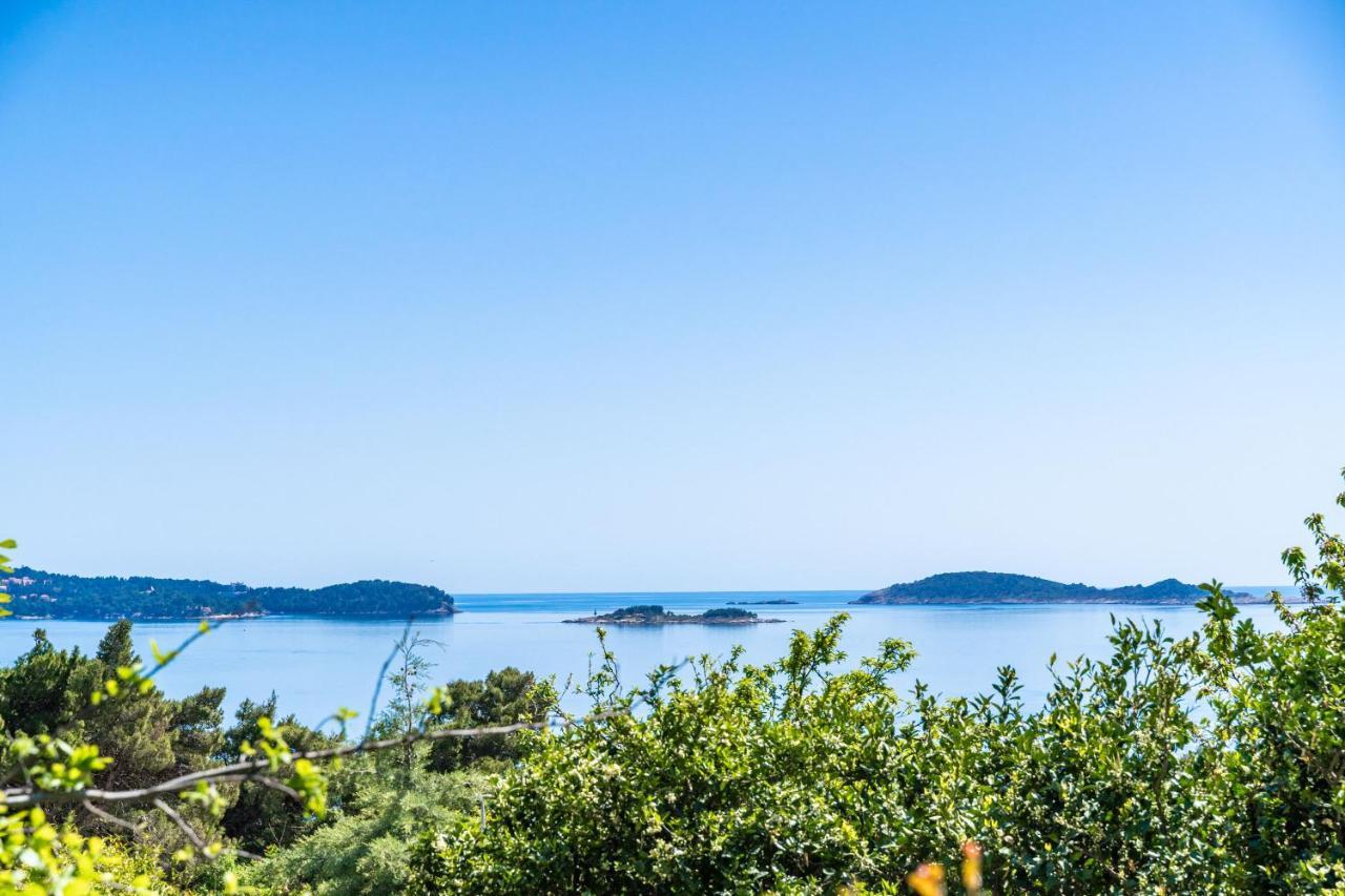 Green Paradise Διαμέρισμα Mlini Εξωτερικό φωτογραφία